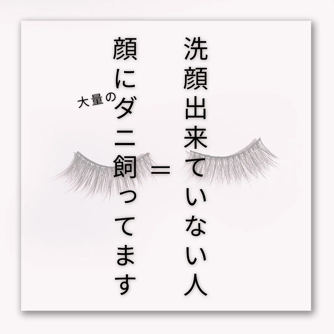 🫎あなたは大丈夫？恐怖のまつげダニ🫎