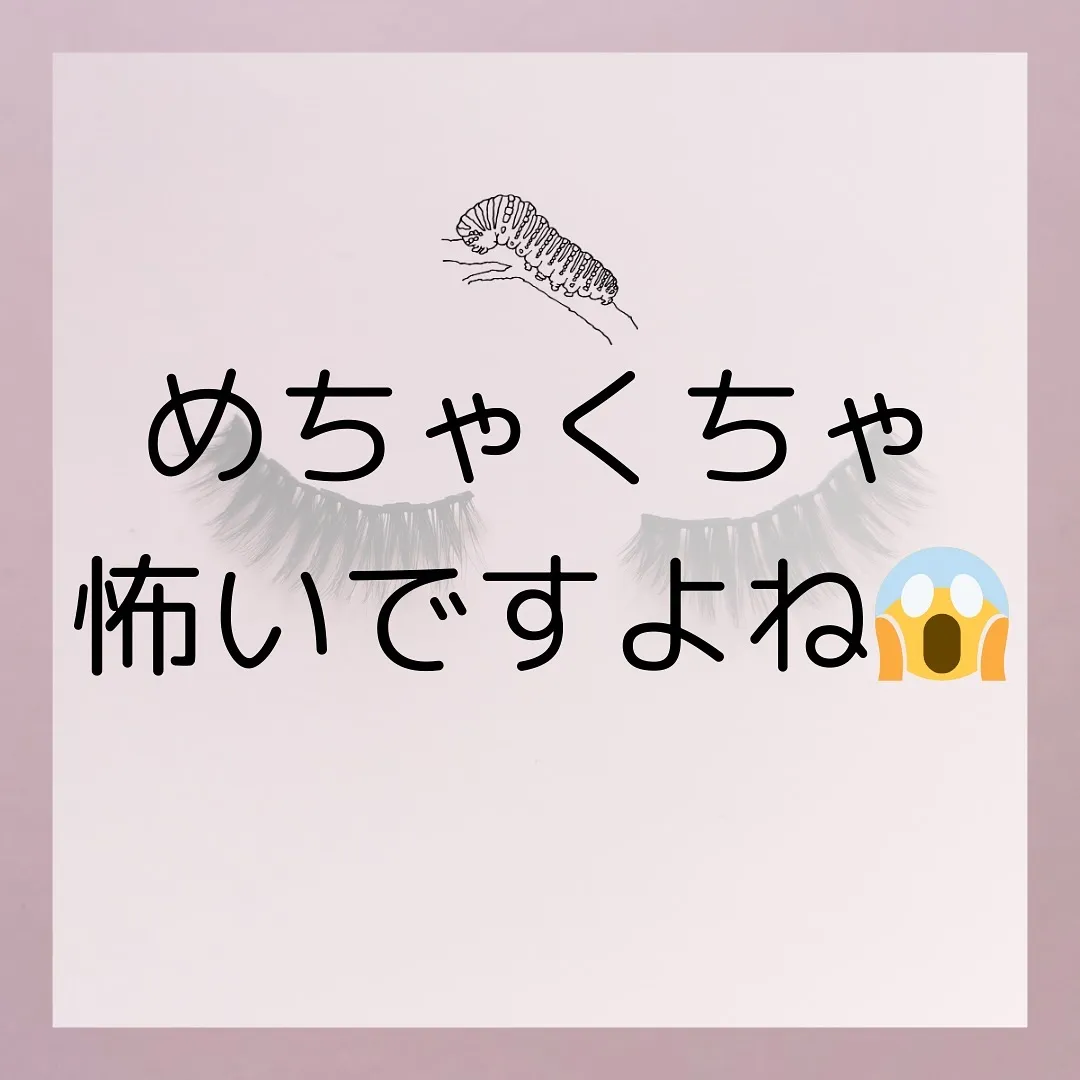 🫎あなたは大丈夫？恐怖のまつげダニ🫎