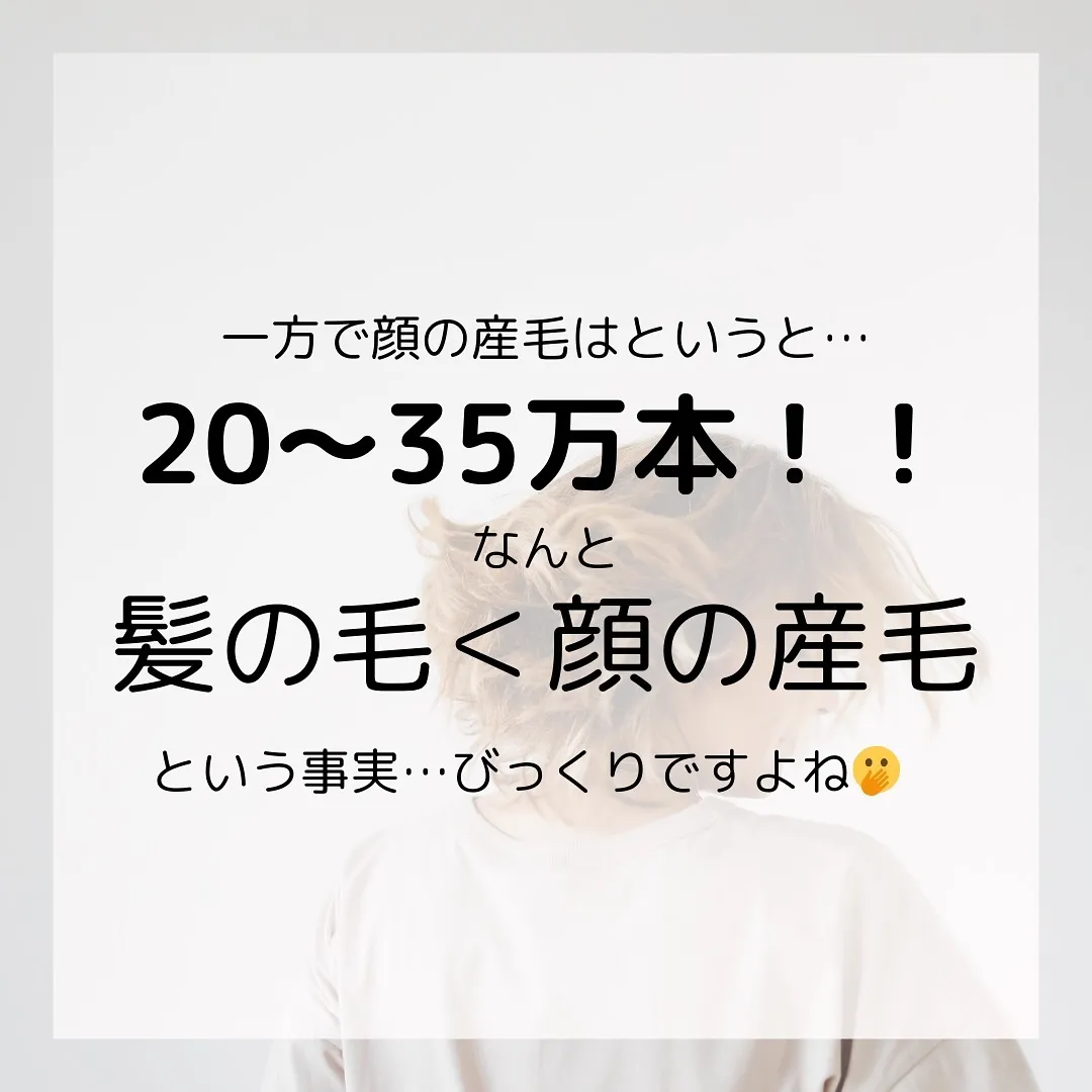 🫎髪の毛vs顔の産毛 どっちが多いでしょう？🫎