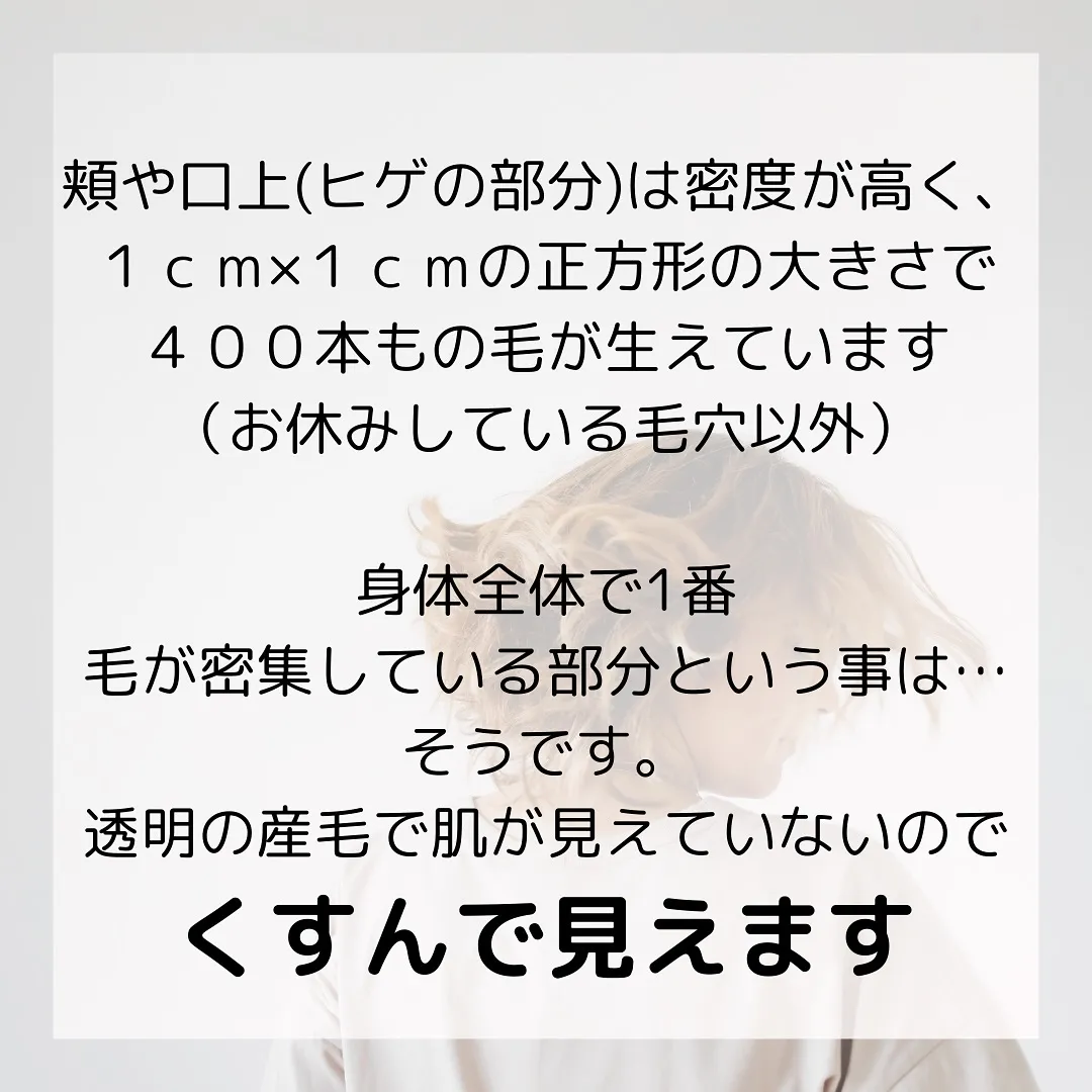 🫎髪の毛vs顔の産毛 どっちが多いでしょう？🫎