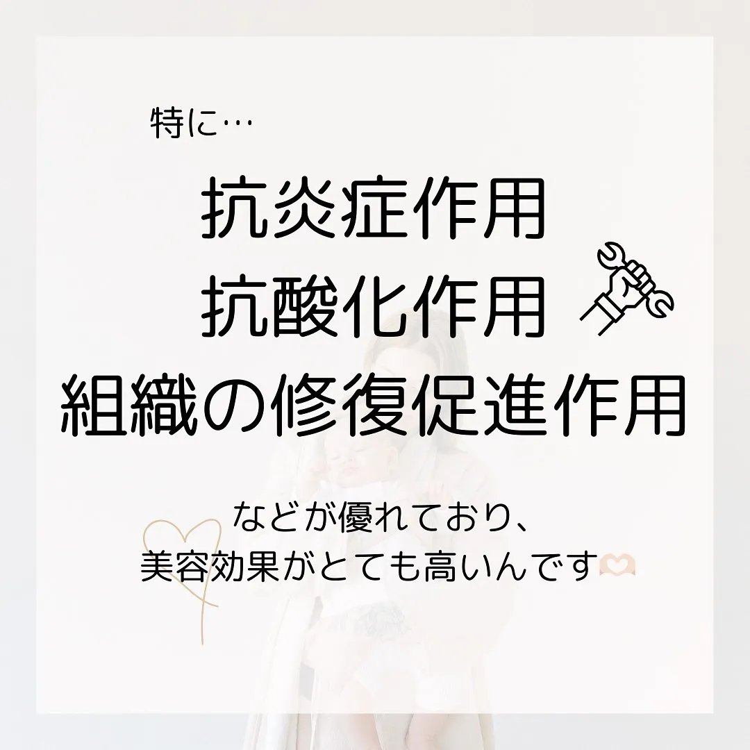 🫎今更聞けない🙊知っているようで知らない