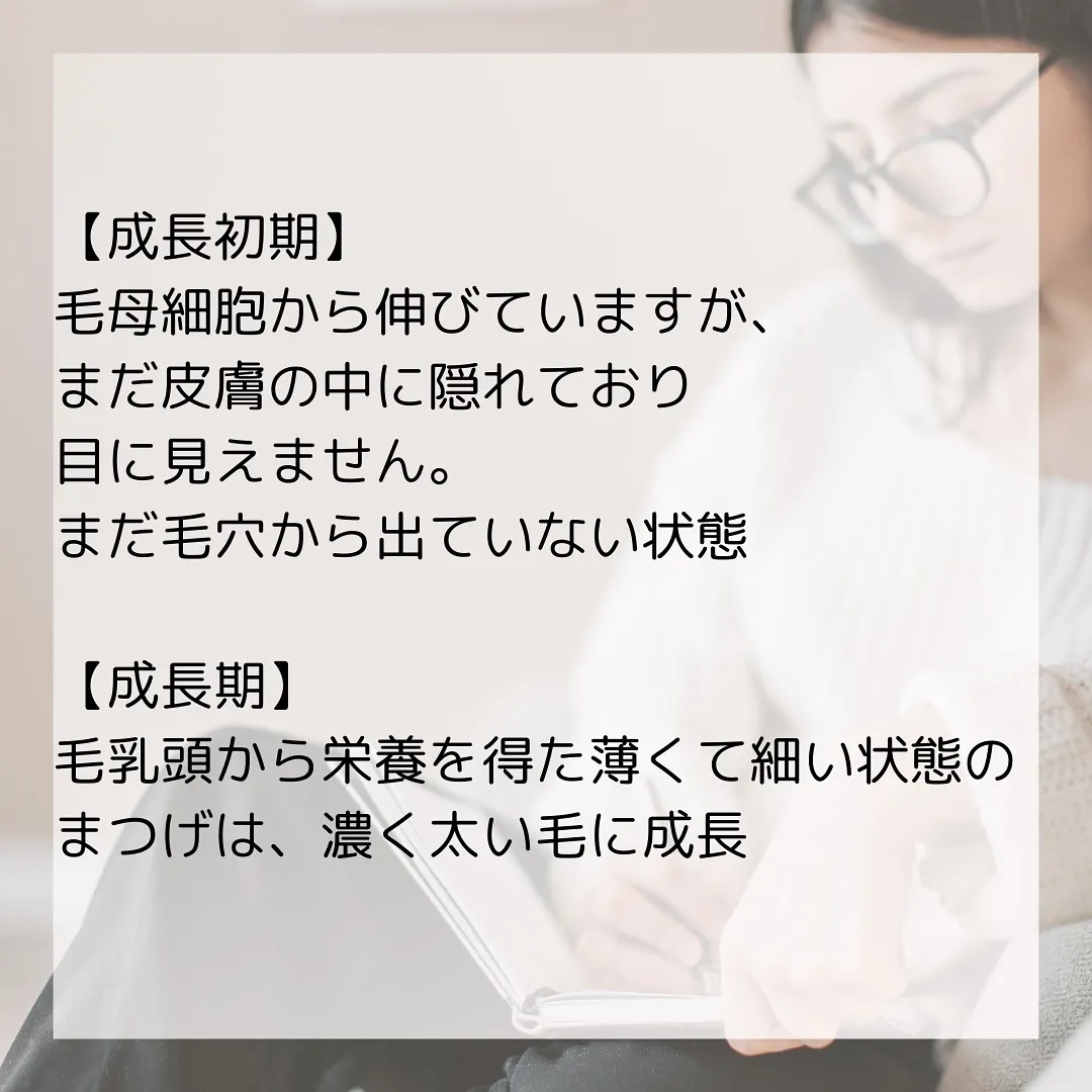 🫎まつげサロンに通っている人は知っておくべき【まつげの毛周期...