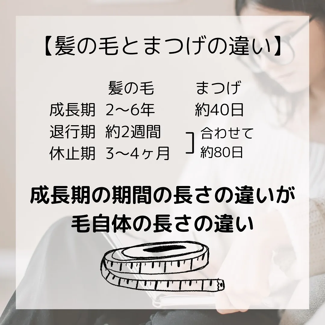 🫎まつげサロンに通っている人は知っておくべき【まつげの毛周期...