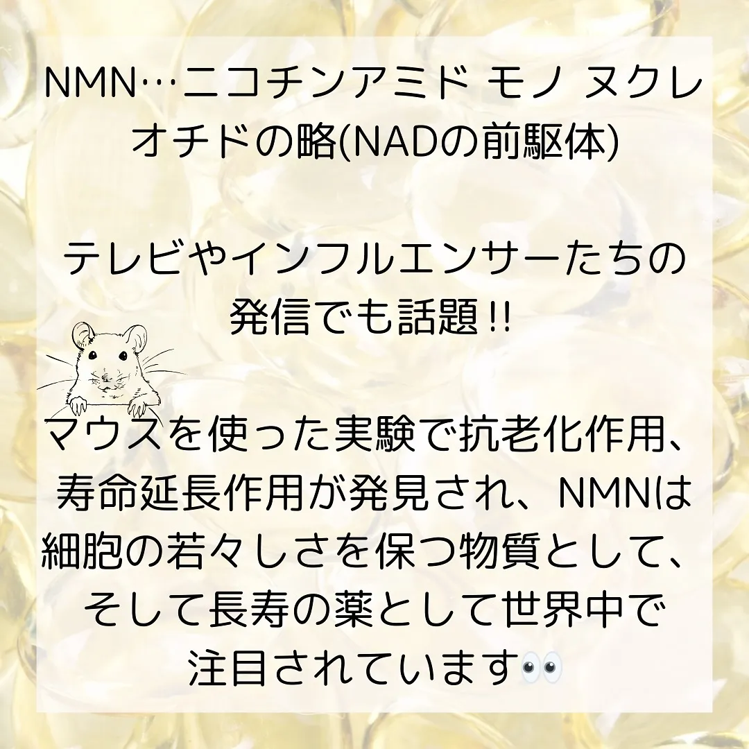 🫎今更聞けない🙊知っているようで知らない【NMN】🫎