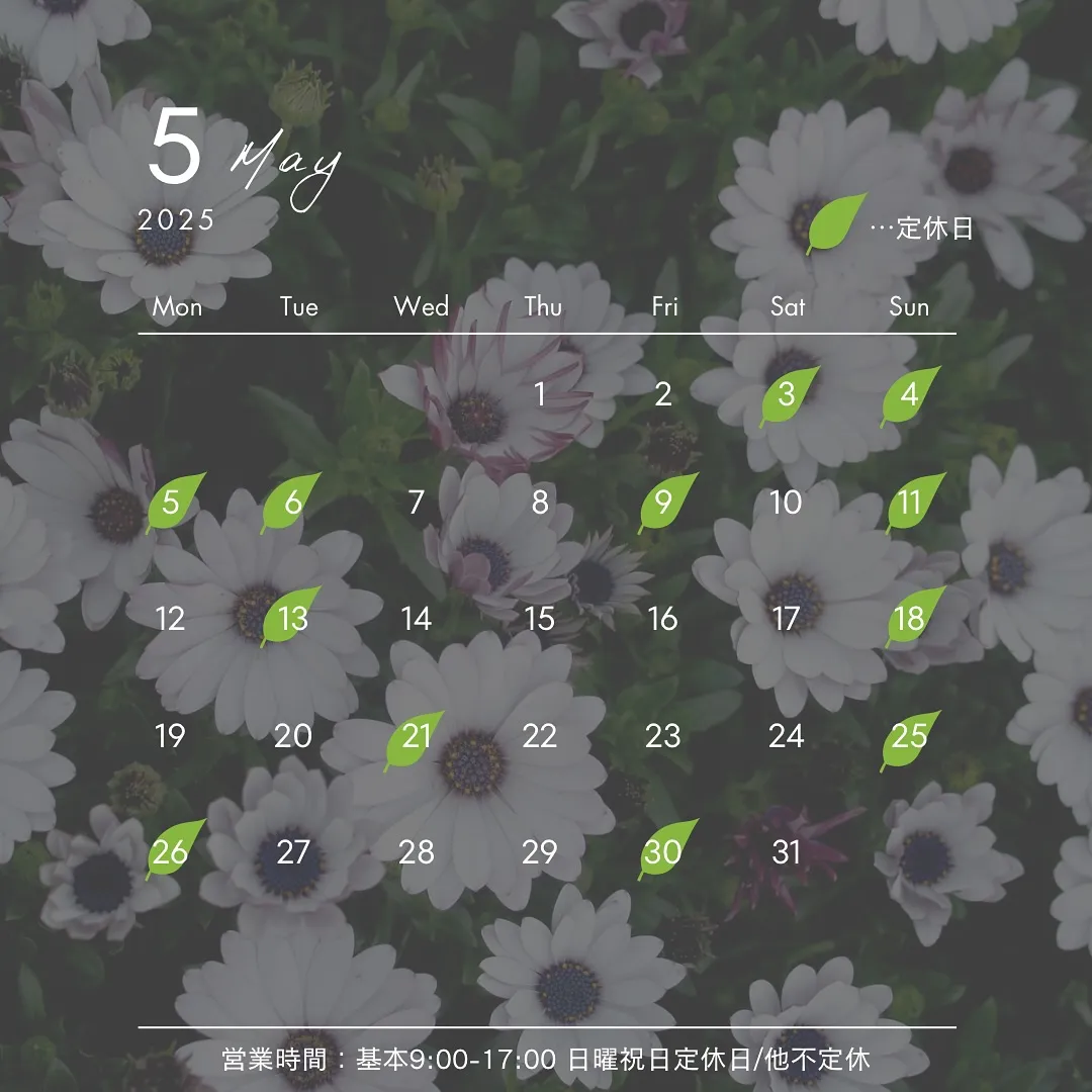 🫎5月の営業日とお知らせ🫎