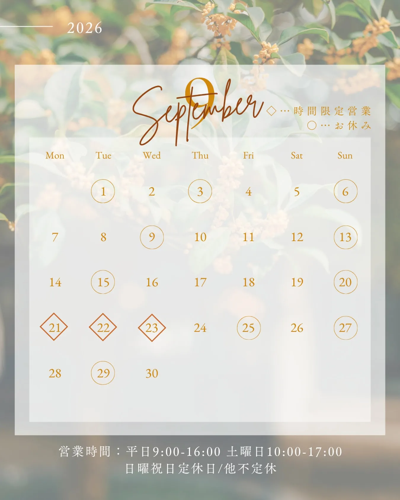 🫎9月のスケジュール🫎